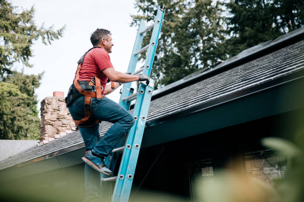 Gutter Replacement in Central City, IL